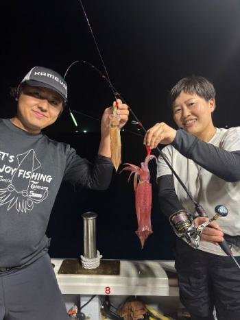 マイカ(ケンサキイカ)