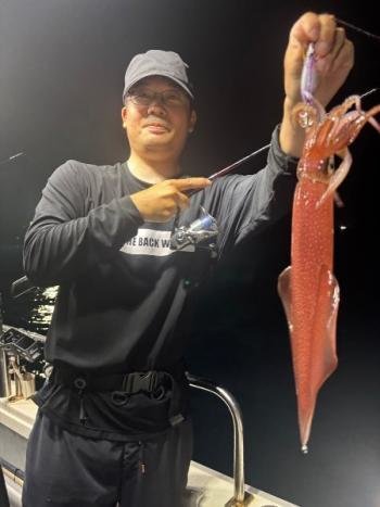 マイカ(ケンサキイカ)