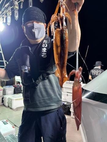 マイカ(ケンサキイカ)