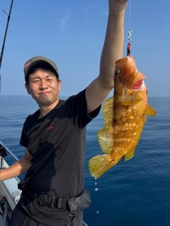 アコウ(キジハタ)