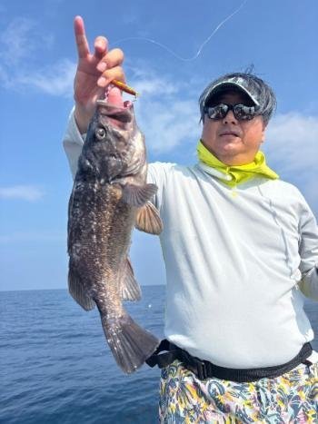 ソイ(クロソイ)