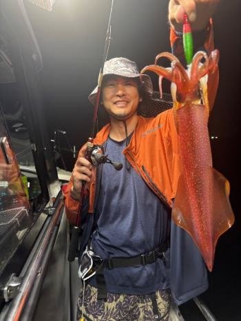 マイカ(ケンサキイカ)