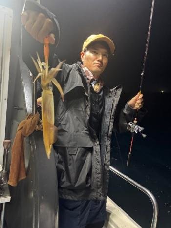 マイカ(ケンサキイカ)