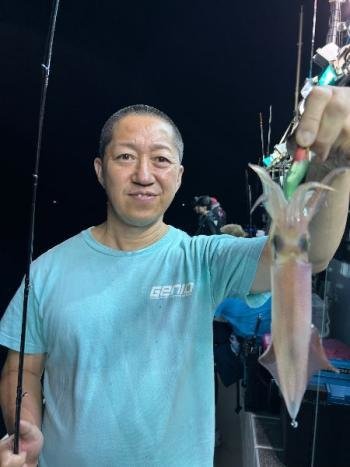 マイカ(ケンサキイカ)