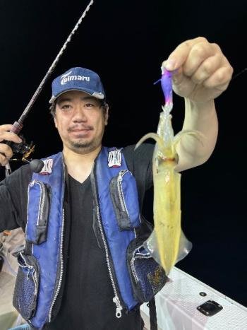 マイカ(ケンサキイカ)