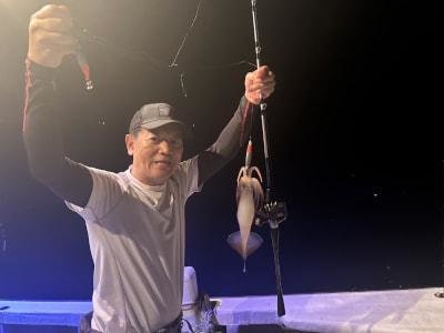 アカイカ(ケンサキイカ)