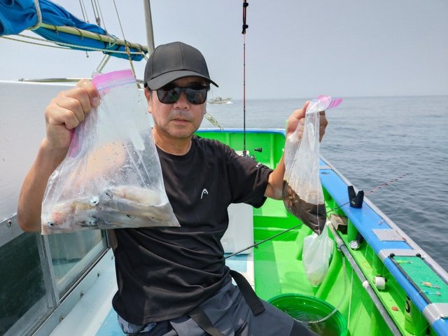 マルイカ(ケンサキイカ)