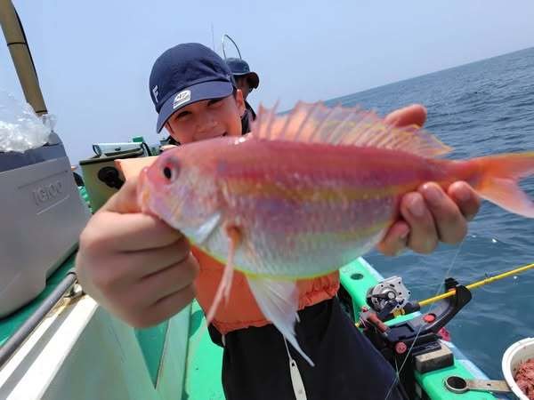 イトヨリ(イトヨリダイ)