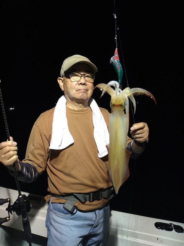 ケンサキ(ケンサキイカ)