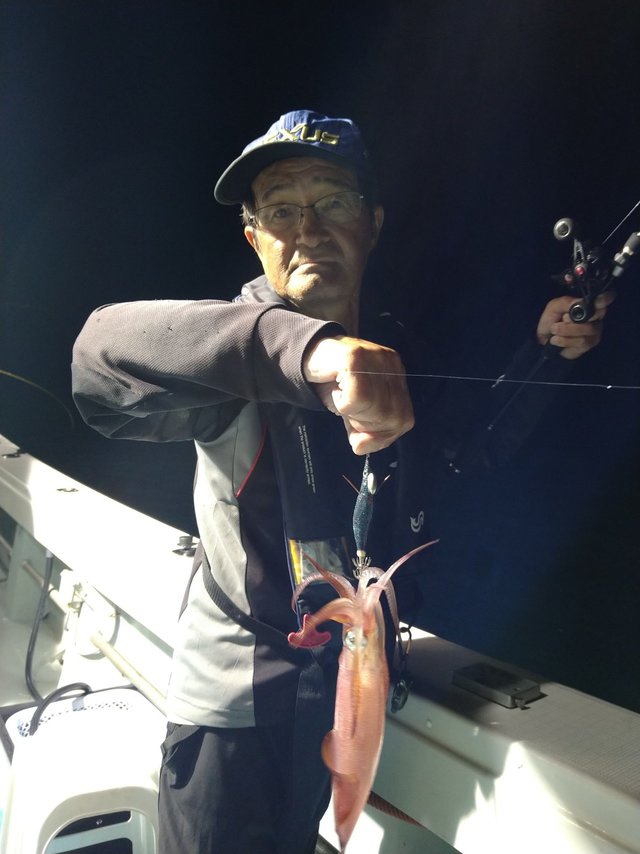 ケンサキ(ケンサキイカ)