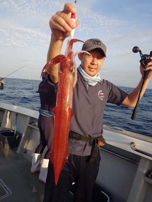 イカ(ケンサキイカ)