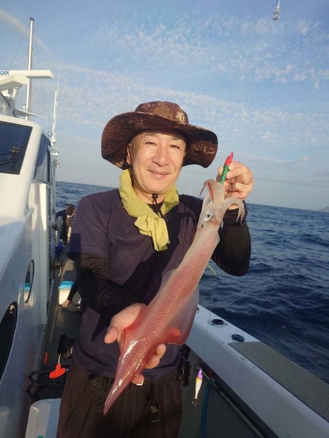 イカ(ケンサキイカ)