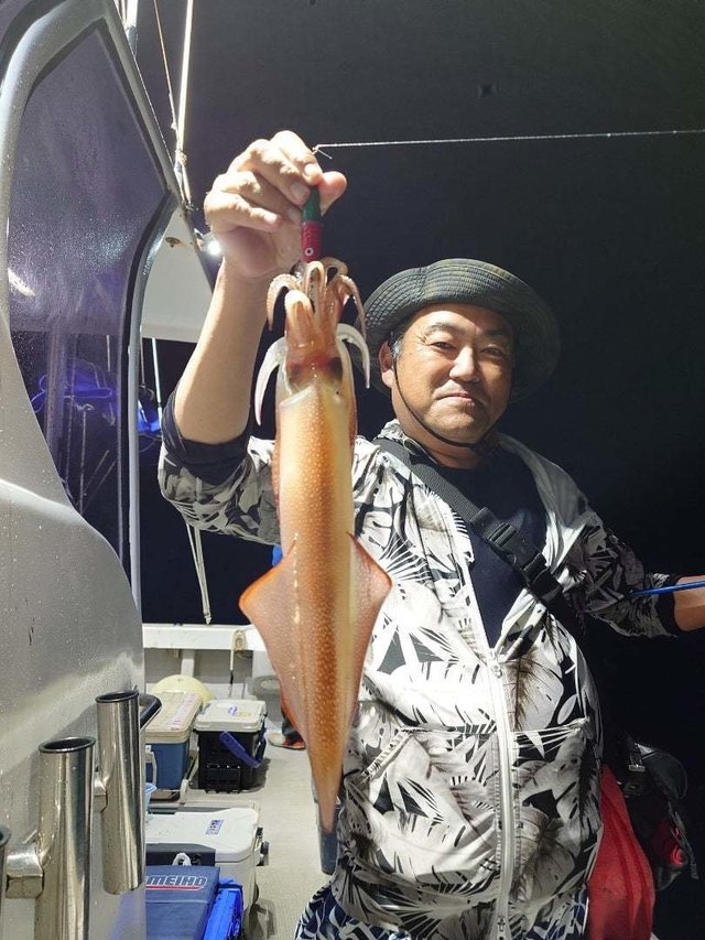 イカ(ケンサキイカ)