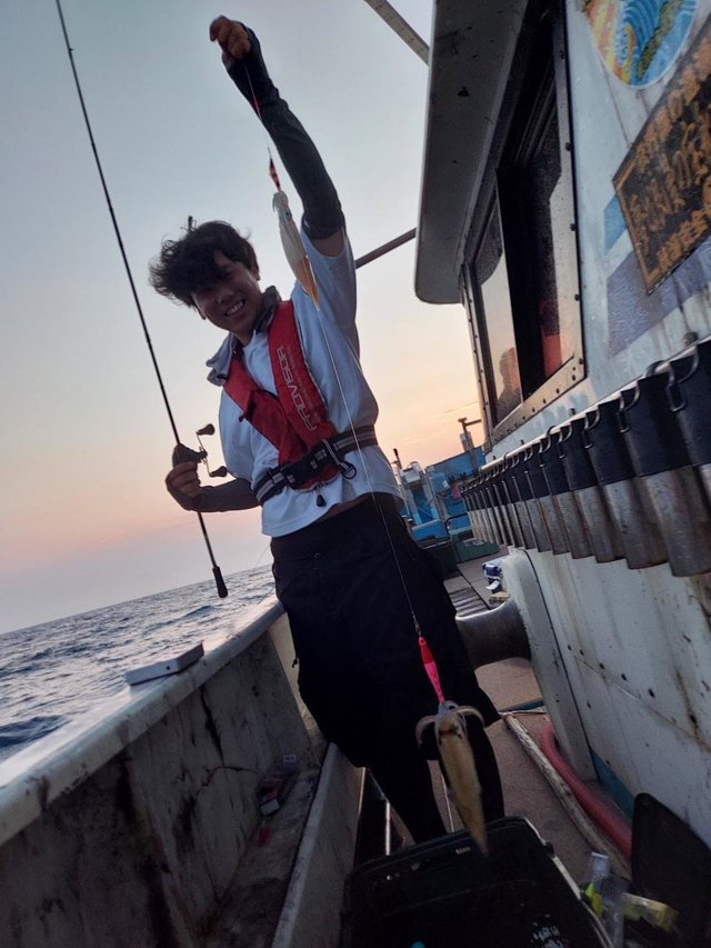 イカ(ヤリイカ)