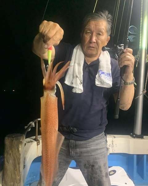 イカ(ケンサキイカ)