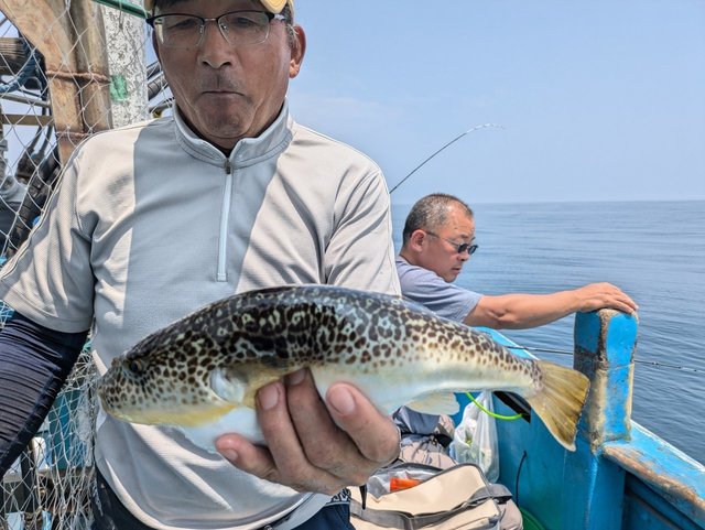 フグ(ショウサイフグ)