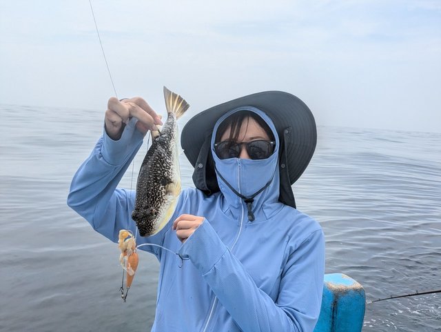 フグ(ショウサイフグ)