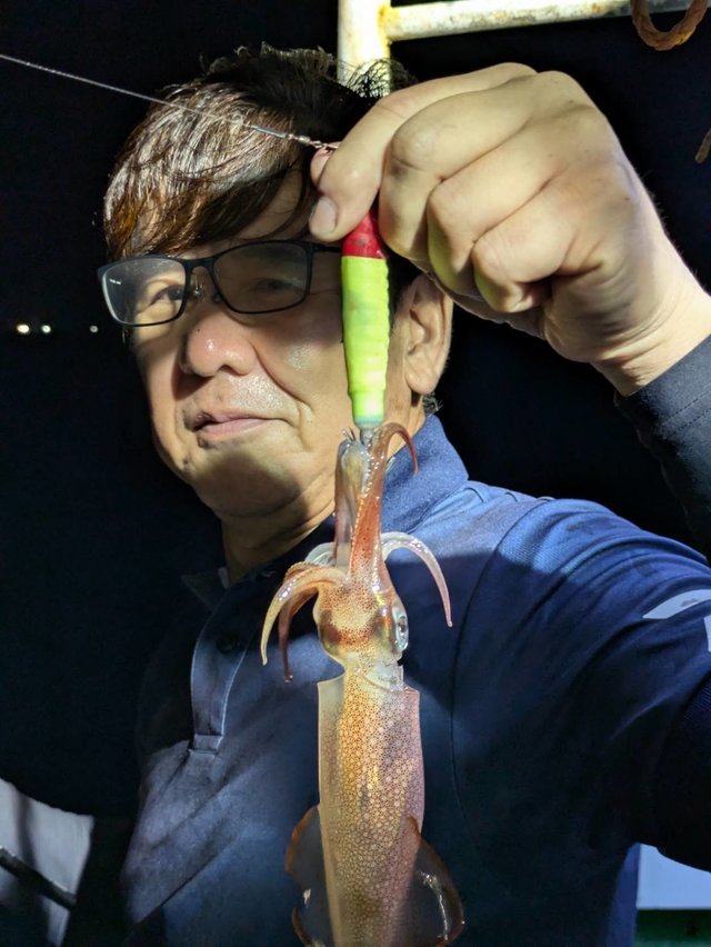 イカ(ケンサキイカ)