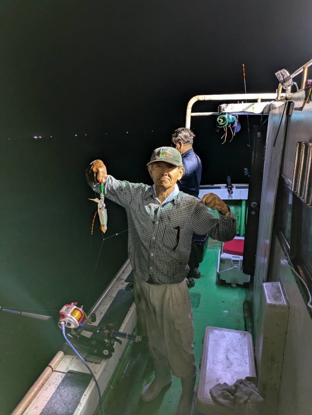 イカ(ケンサキイカ)