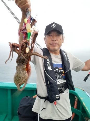 マダコ