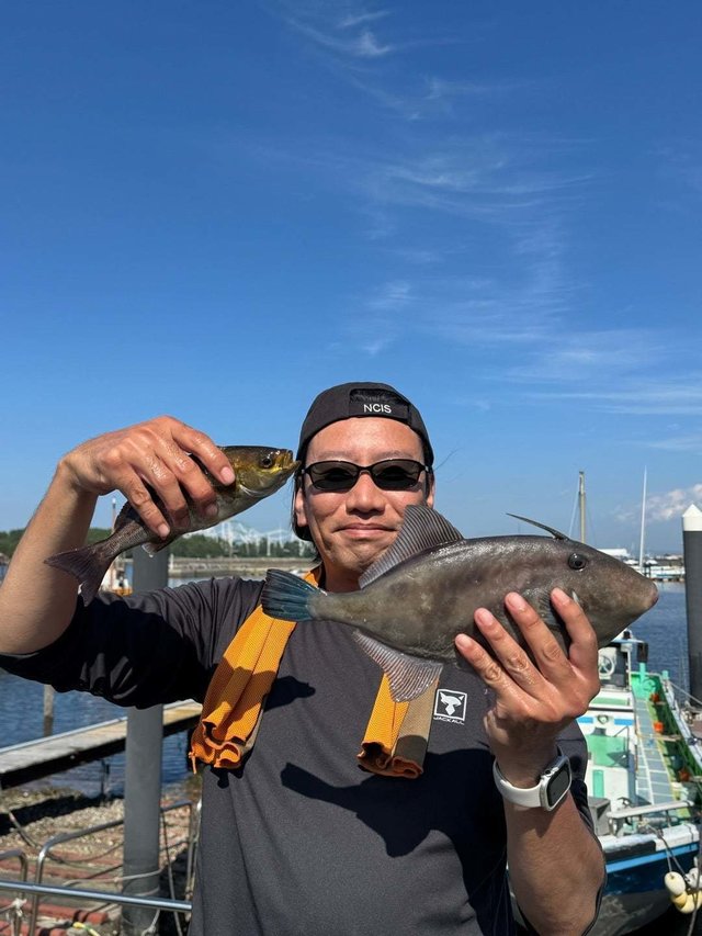 イサキ・ウマヅラ(ウマヅラハギ)