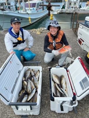 イサギ(イサキ)