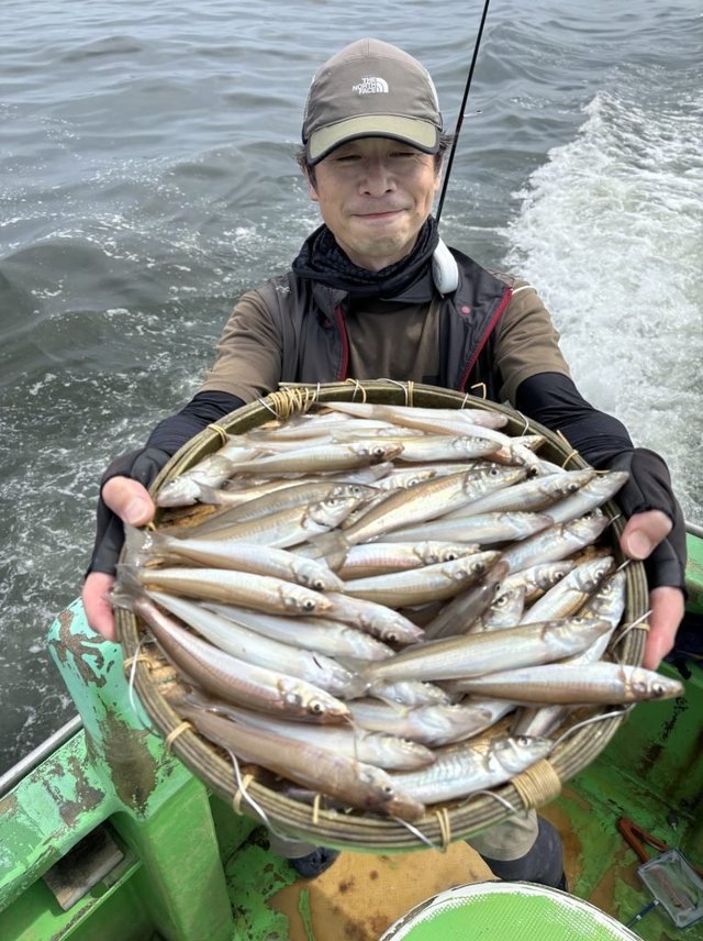 キス(シロギス)