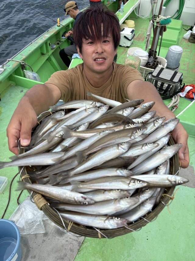 キス(シロギス)