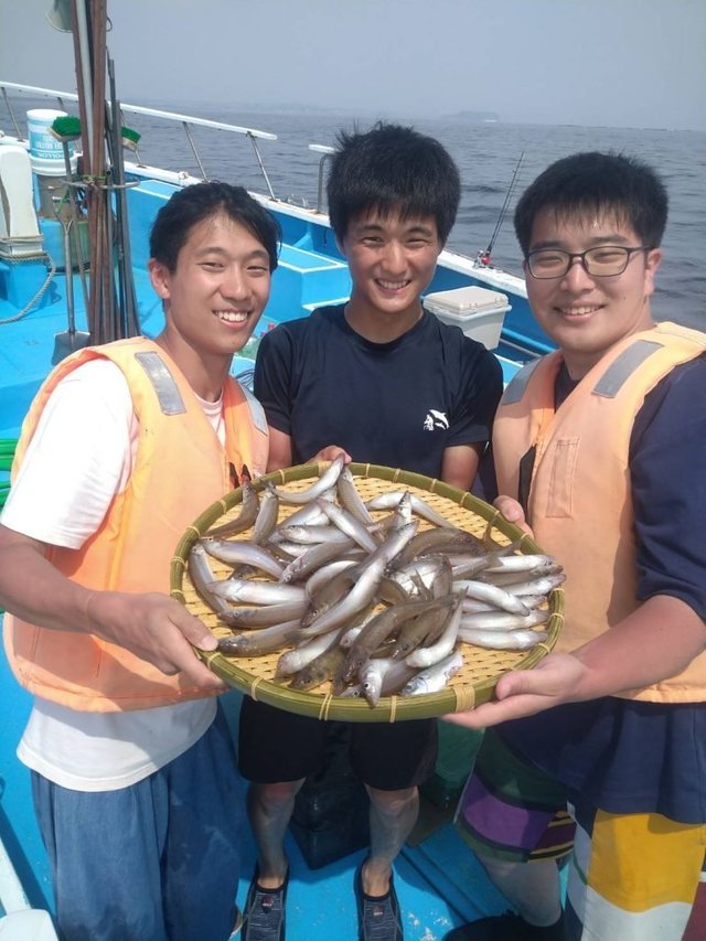 シロキス(シロギス)