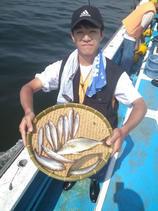 シロキス(シロギス)