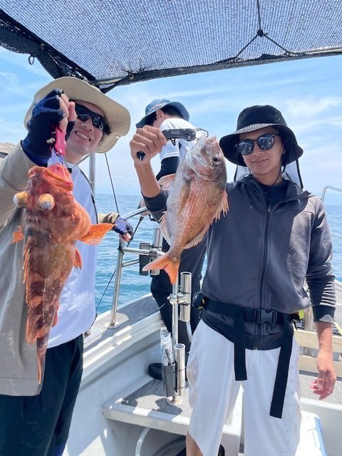 マダイ・ウッカリカサゴ