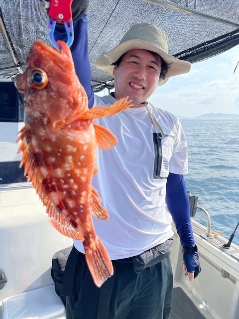 ウッカリカサゴ