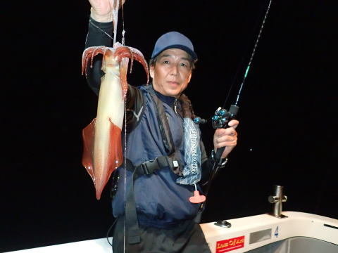 シロイカ(ケンサキイカ)