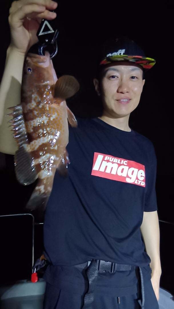 アコウ(キジハタ)