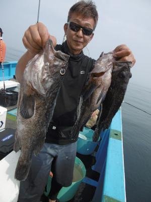 ソイ(クロソイ)