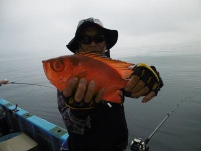 キントキ(チカメキントキ)