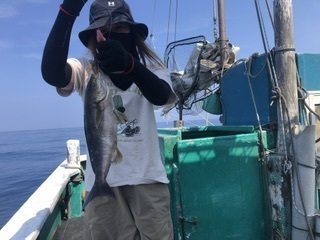 イサギ(イサキ)