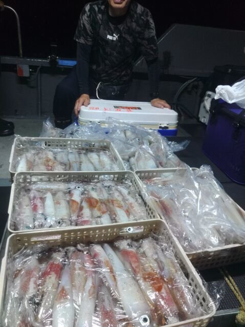 イカ(ヤリイカ)