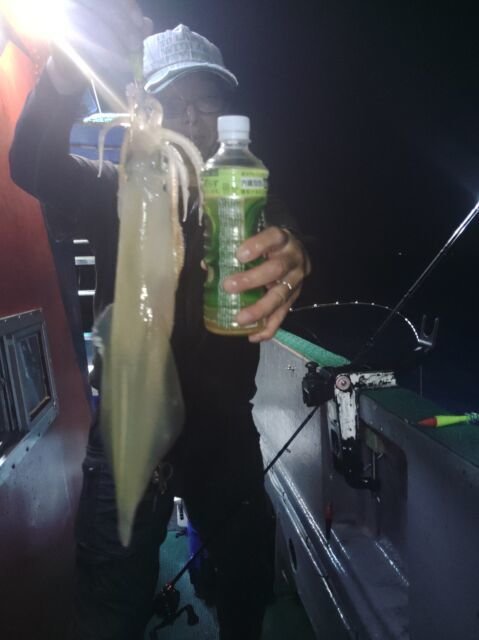 イカ(ヤリイカ)