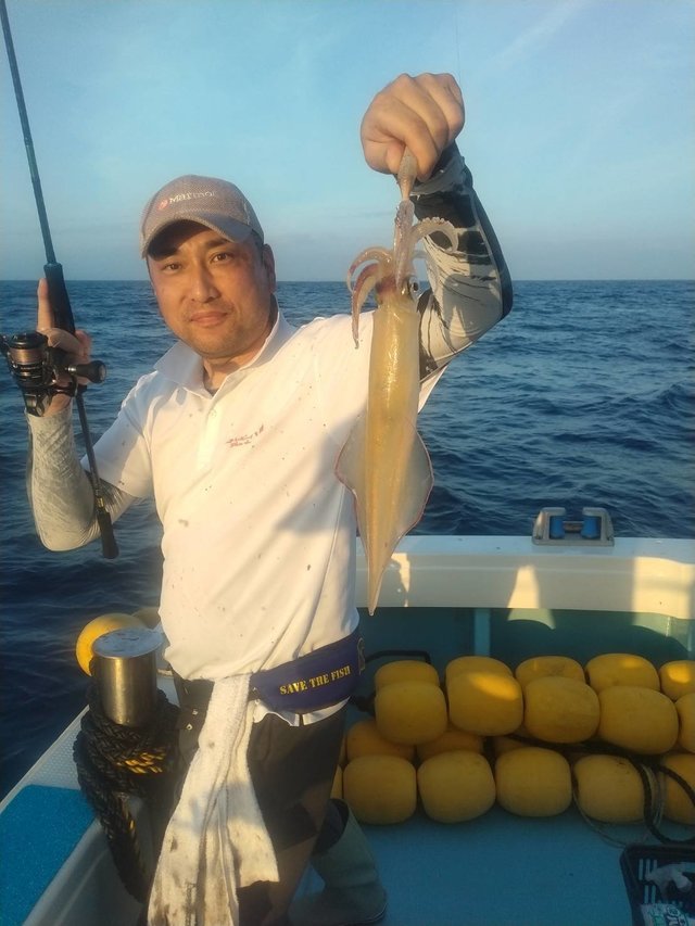 イカ(ヤリイカ)