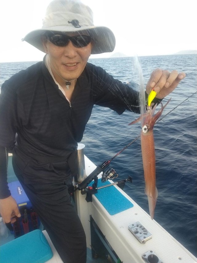 イカ(ヤリイカ)