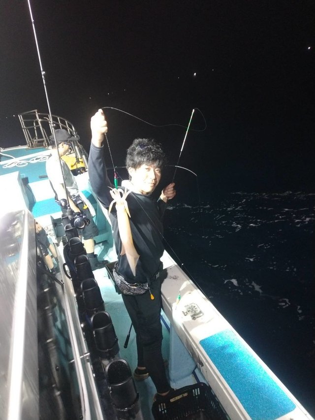 イカ(ヤリイカ)