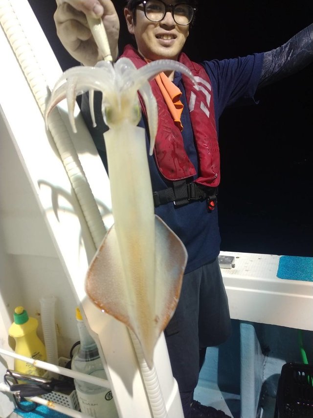 イカ(ヤリイカ)