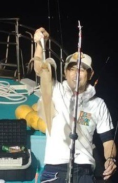 イカ(ヤリイカ)