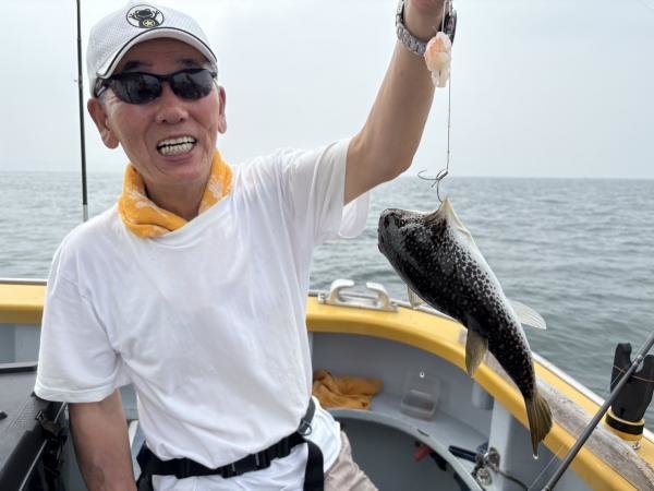 ショウサイフグ