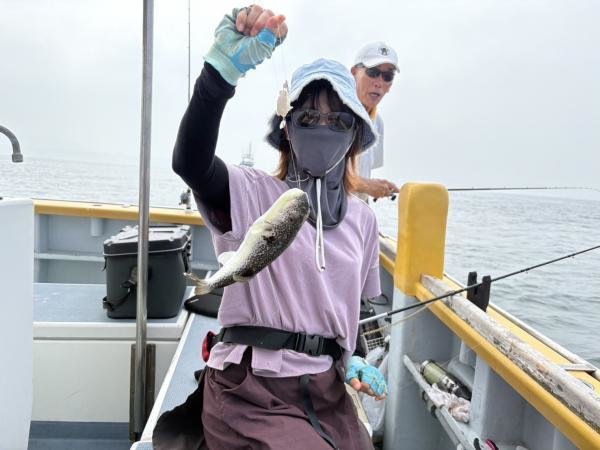 ショウサイフグ