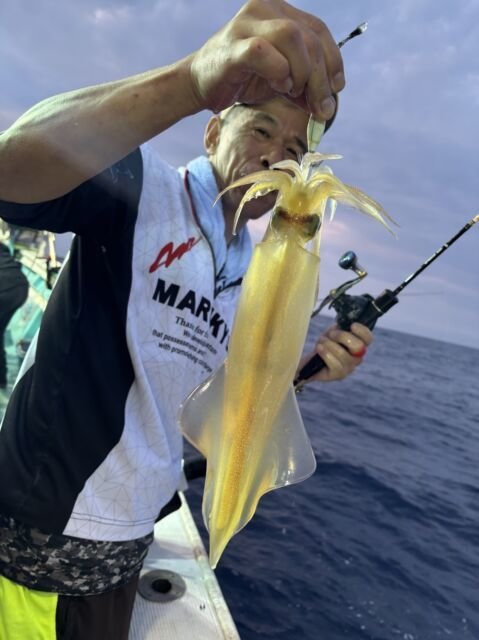 マイカ(ケンサキイカ)