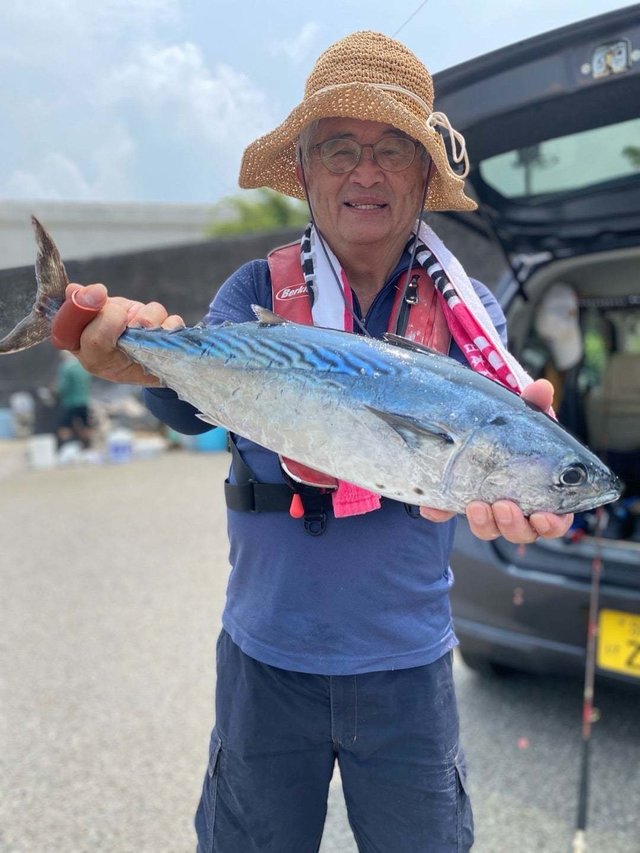 スマガツオ(スマ)