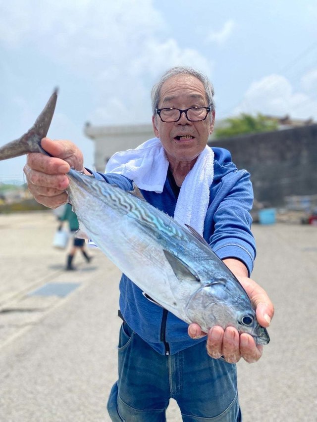 スマガツオ(スマ)