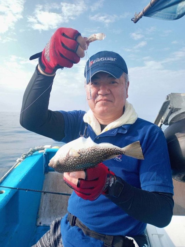 ショウサイフク(ショウサイフグ)